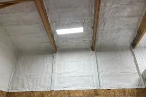 Spray - Ceiling - Wall - Insulation